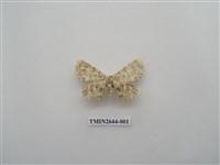 藏品(尺蛾173)的圖片